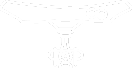 wire cam