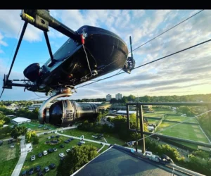 Falcon High Speed with Shotover M1 - Wimbledon