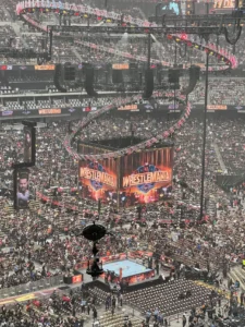 Falcon wirecam - Wrestmania